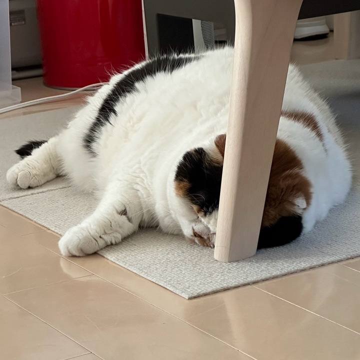 87cccbb8 8fee 4142 9110 d6d03eb08693 1713323039903