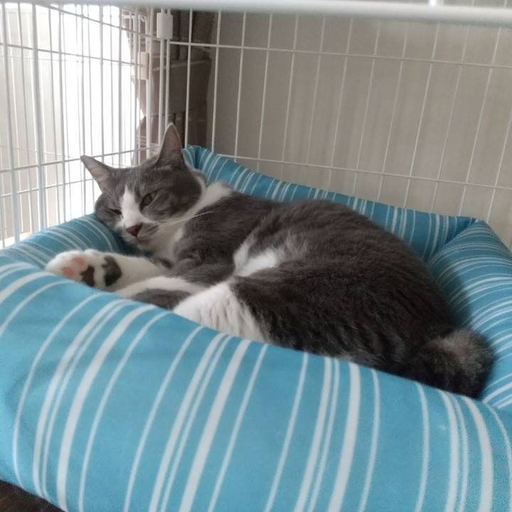 87cce6d3 71f1 45e7 8117 9312b3c0b8ff 1624594366189