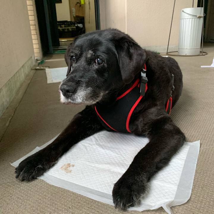 87ccee7f a41c 4483 a19c 9d39c55a6306 1654762914293