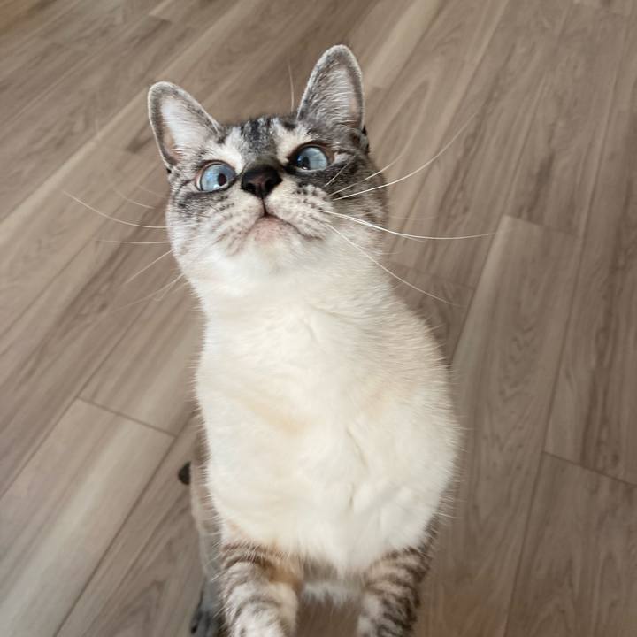 87cd0992 c575 4edc b33b c24fd523f9c1 1651734713020