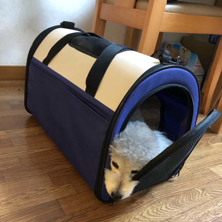 87cd0c1a 007d 476b a3a3 5cda33a30107 1554332164881