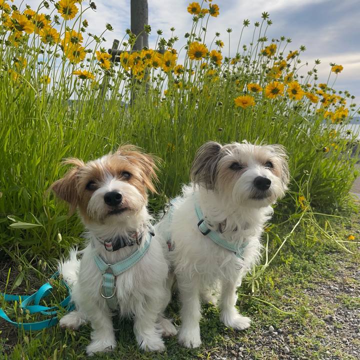 87cd2a64 b877 4852 8ff4 cc60a594eb40 1778290305701