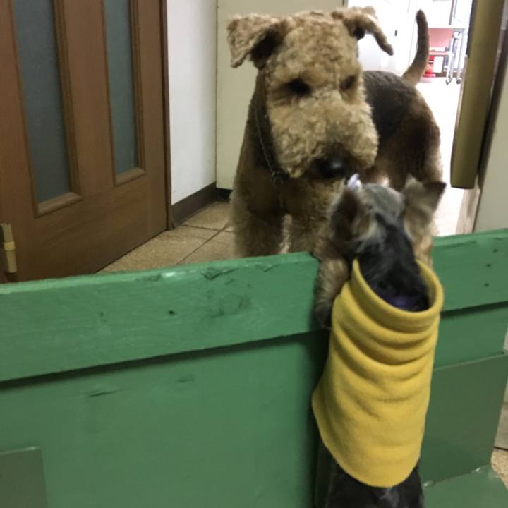 87cd2af0 22b6 4a9f 8d94 07986cf86c4c 1549446363605