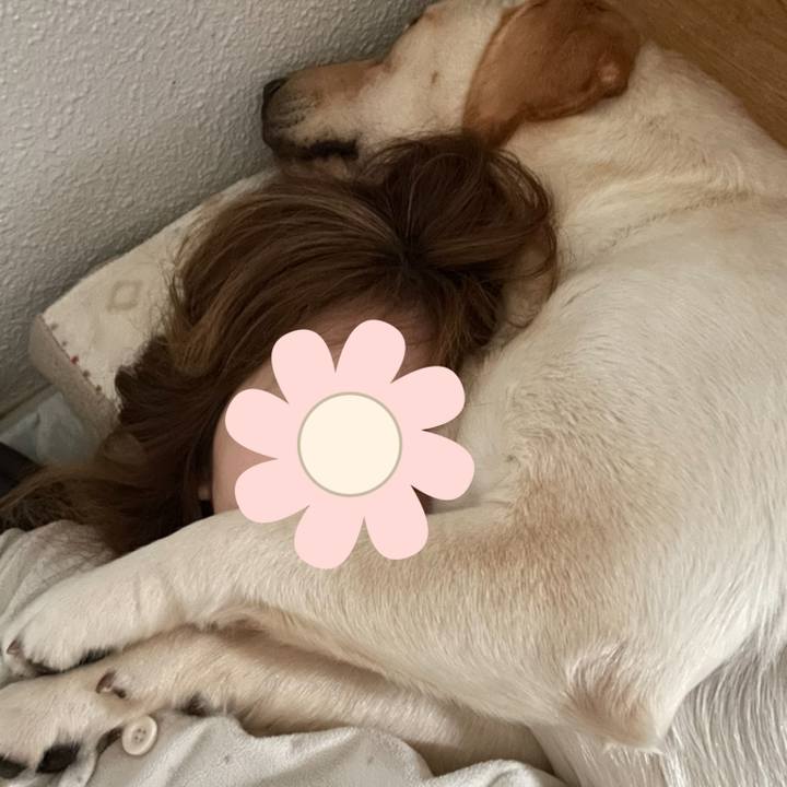 87cd4d32 b4d8 4927 8544 19ce0da0d64c 1648594580665