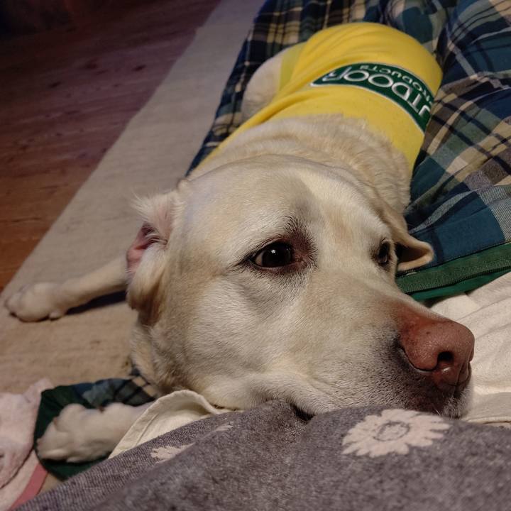 87cd9278 3ad2 4388 84c4 b2bede239e44 1670588880889