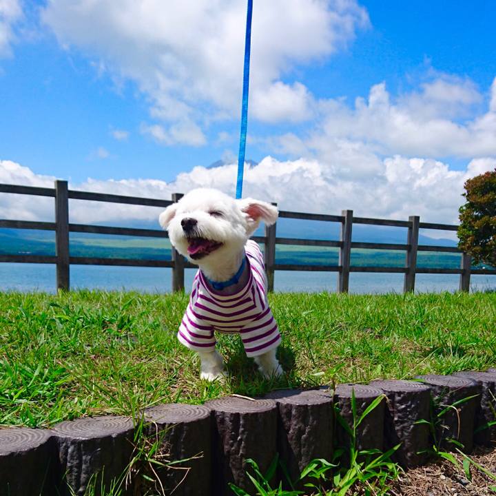 87cda366 7dd9 4b9e 87a1 13e17fb2dda6 1556240099373