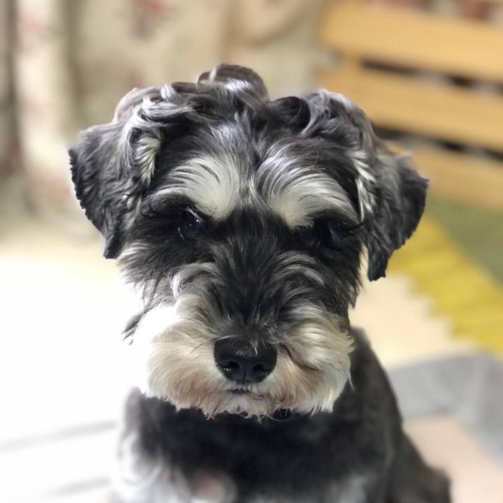 87cda74d af1f 4ed3 96e5 51f6098663be 1634950744680