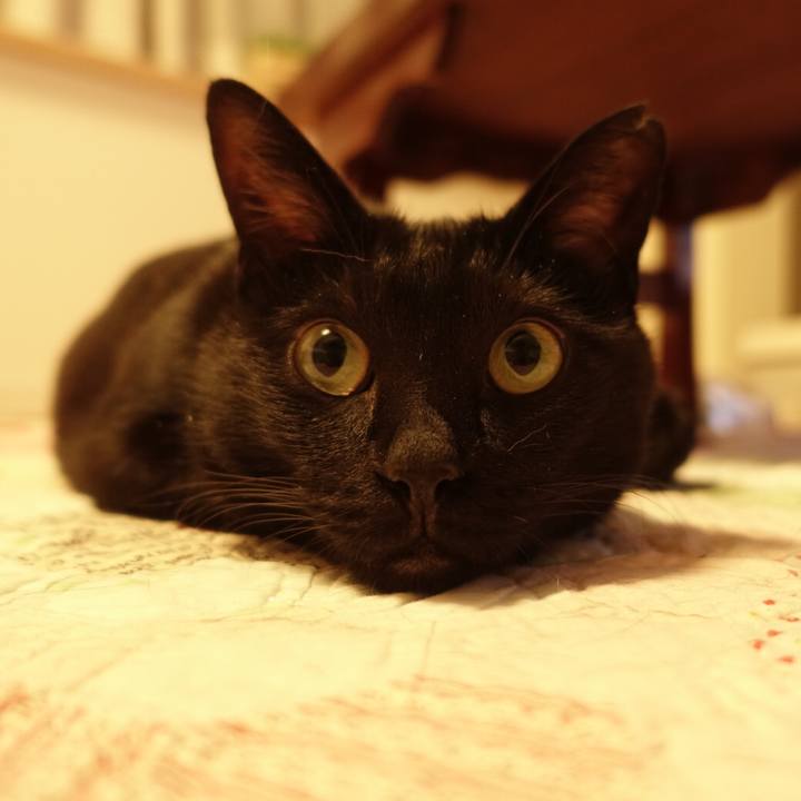 87cdbc53 89d8 46bb bb5e 57217a43b68a 1541074974148