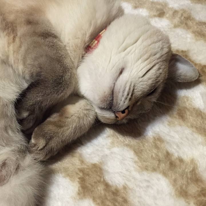 87cdc4b0 17b2 460a 80c1 181ce30db6a7 1540468000651