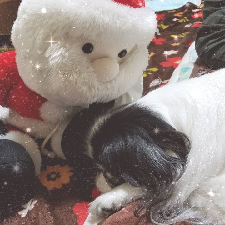 87cdccb1 6280 4842 9cc6 8e0a2c59f7c9 1545739093871