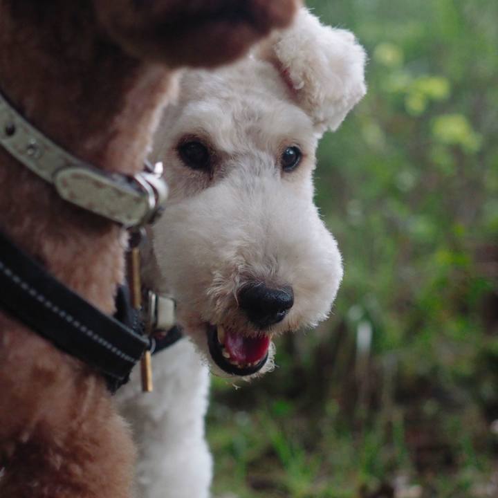 87cded51 681b 408d a76c 244b39d30a54 1567904682406