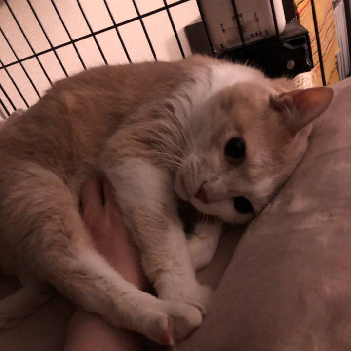 87ce39ef 055b 4ab9 a4a9 abb5e2a61870 1618838145300