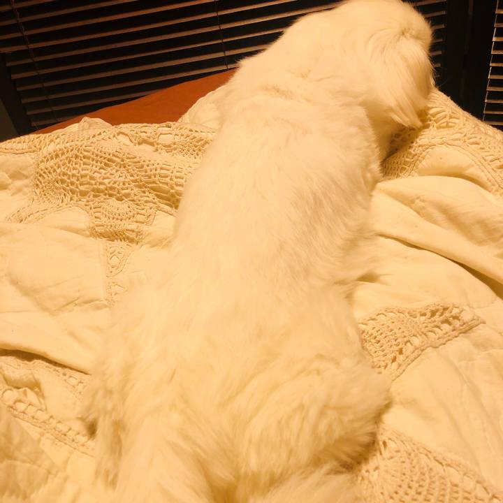 87ce757a 8650 41fb af23 dd02f54cfe67 1617199578586