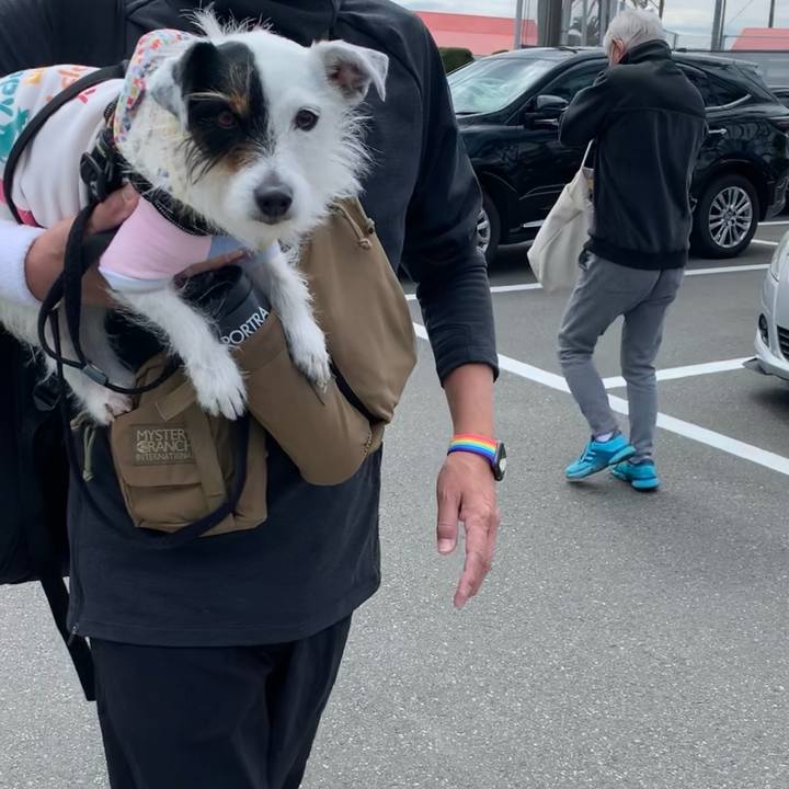 87ce8121 f6b2 4210 9ff4 a84bcf74a4a9 1618021234930