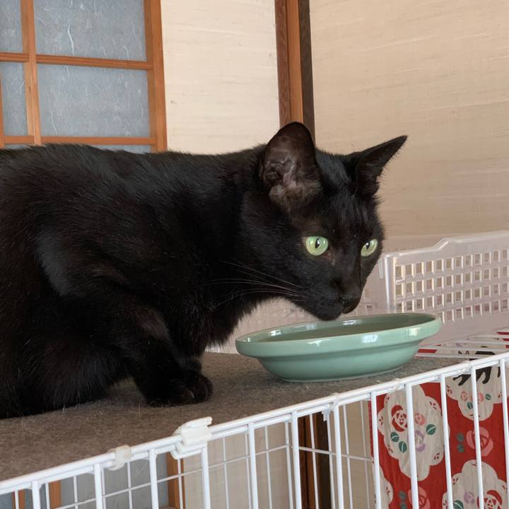 87cea9f8 a1c1 4817 9905 161a604cdae3 1571534053702