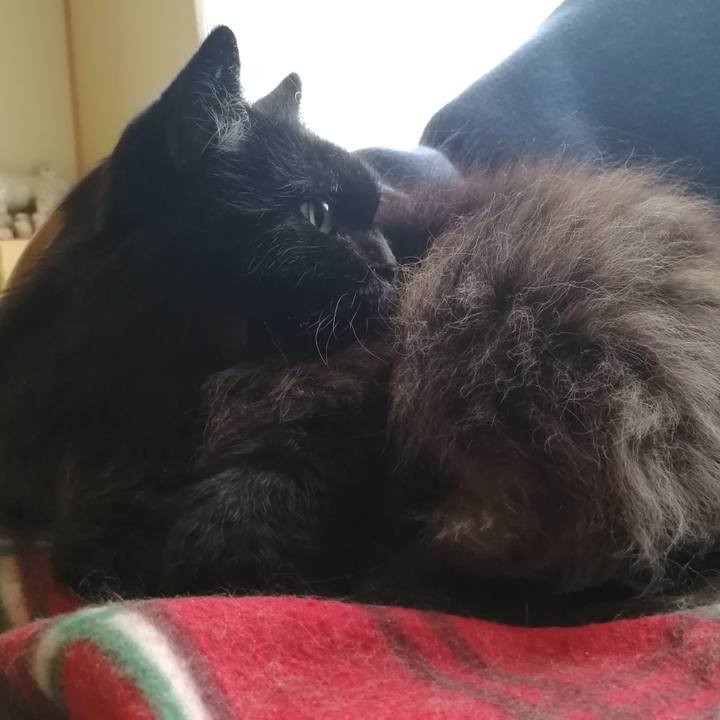 87ceabf5 ff3e 496d 9bb6 c84c1ec48ed2 1540694928514