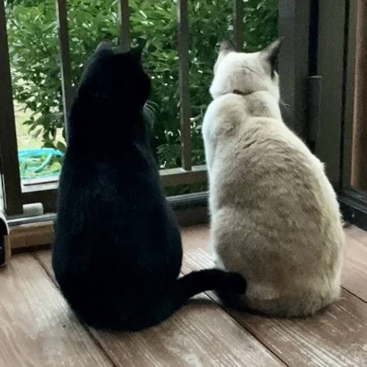 87cee191 0458 4372 9019 6ec124d1fa0f 1735068942538