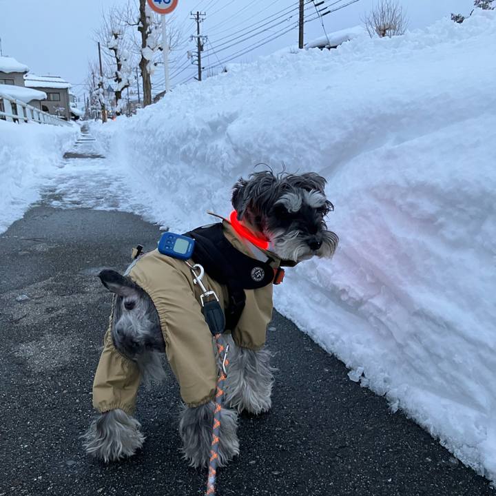 87cf41fb 63f9 40fe adde cfe52cdd09e0 1738931052076