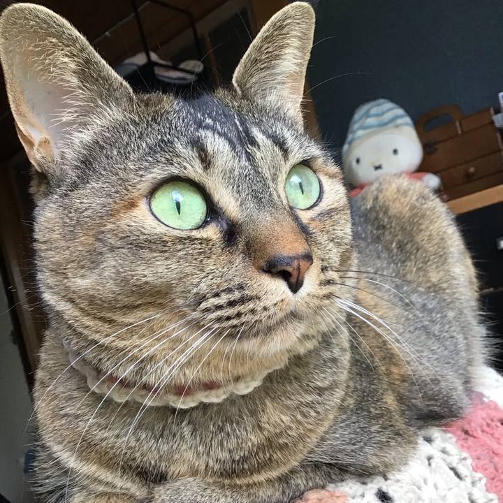 87cf5543 4fed 4ffc 9a4b 9d1eb3dc4a23 1715489236729