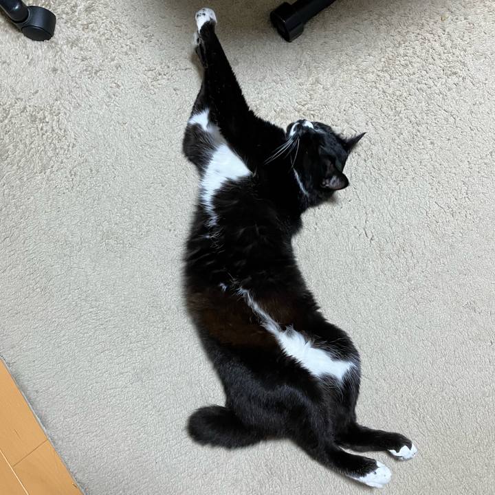 87cf787b 4169 48db 8e54 b2ac807774bf 1756784105184