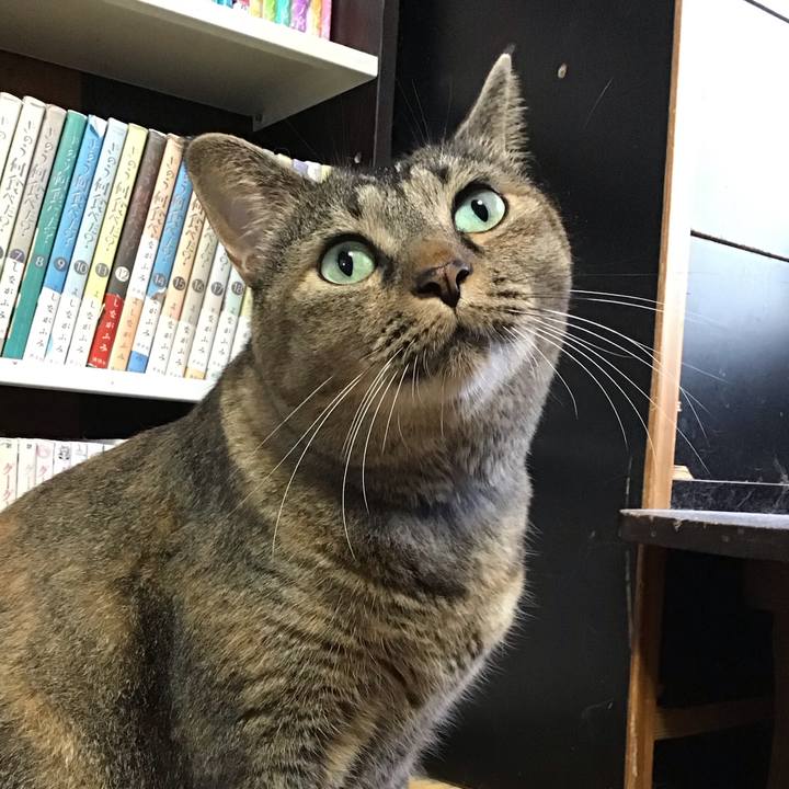 87cf8d48 a43f 4908 a45c be0c02734c16 1759134962265