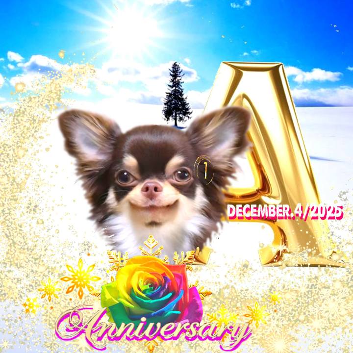 87cfe97e 8c10 4b88 b34e 89d833450022 1765184255931