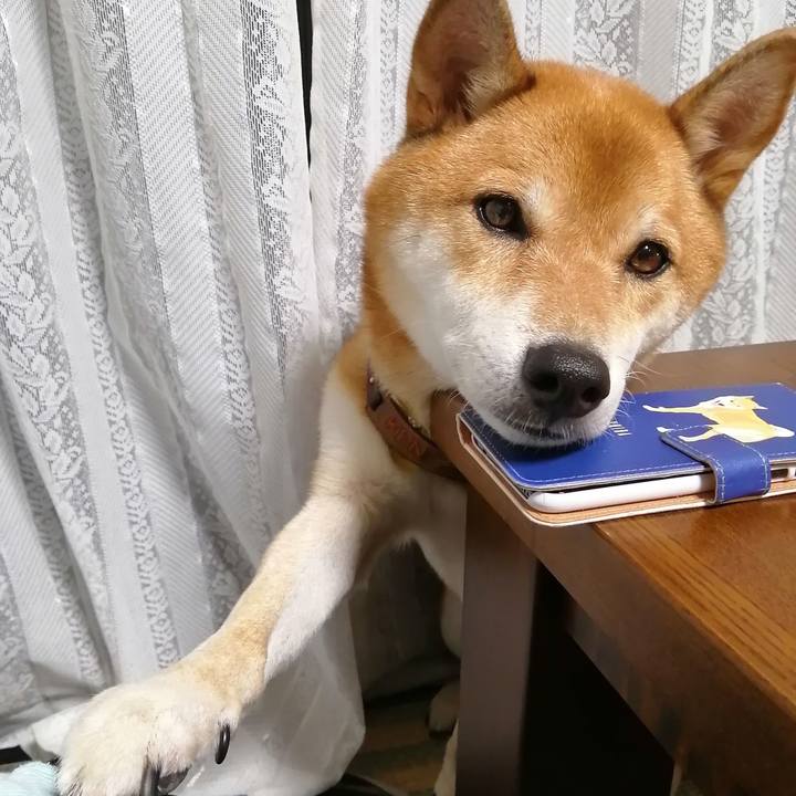 87cfec52 bd96 428d ab2a fa15d144cb2f 1601377863963