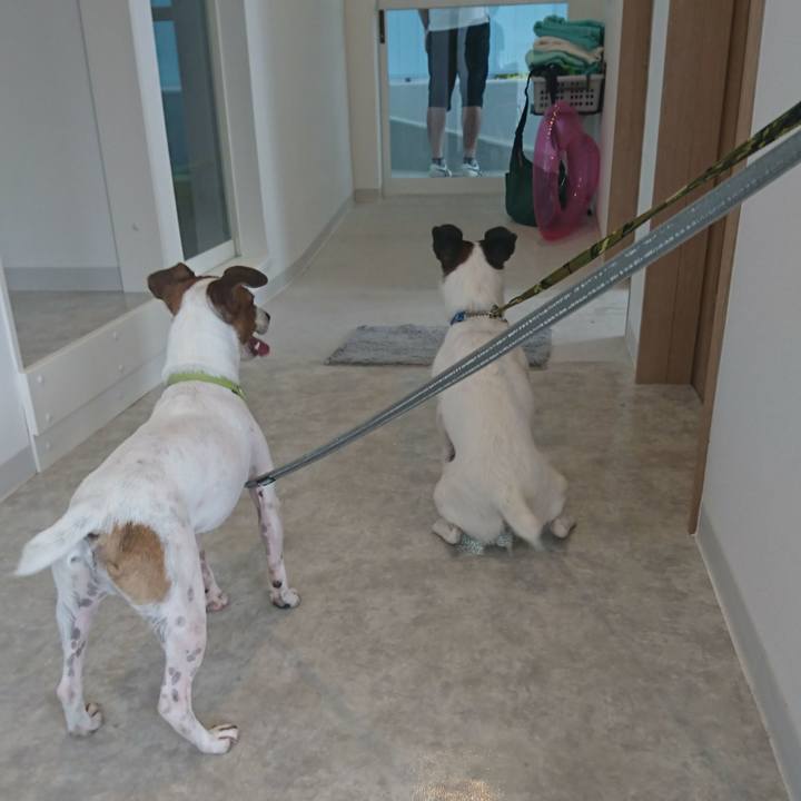 87d00981 1727 41da 8235 b82f30155278 1563699787172