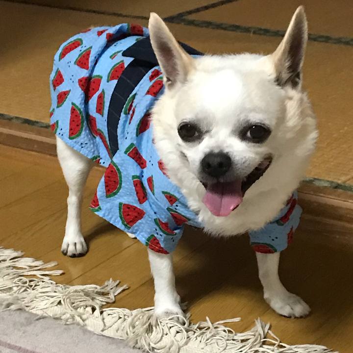 87d029ea 9f98 43da 8b80 d2ca830391b9 1567208959813