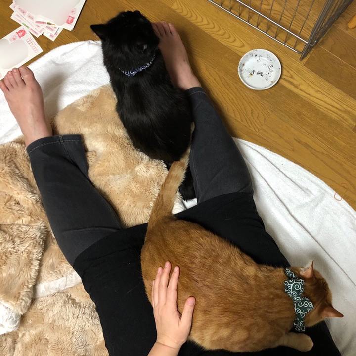 87d06d38 d64e 4d1e 9f2c bf21f5470da4 1578138793744