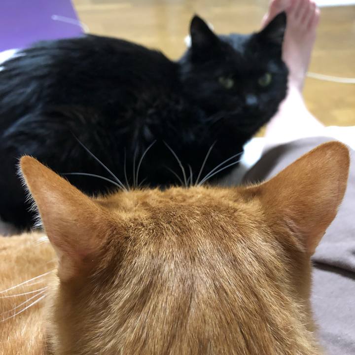 87d0986f b11f 4981 98d5 a152aa7c0868 1608296022012