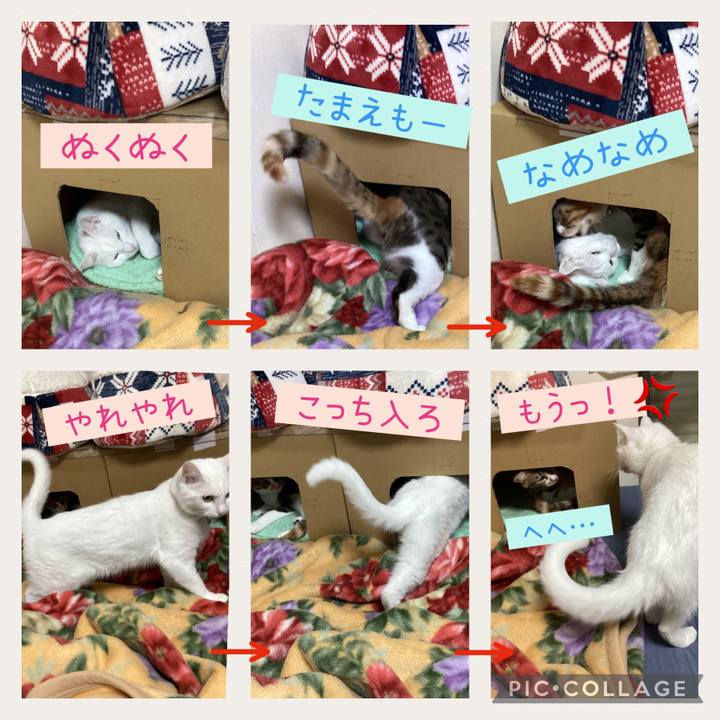 87d0dbdc 72b3 47b2 90c2 d845a38920a0 1672184416935