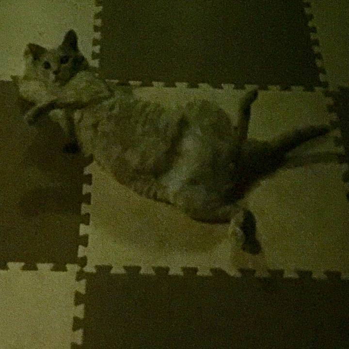 87d0f272 542a 4d3b 92b5 0c9ca57eed8a 1566413119581