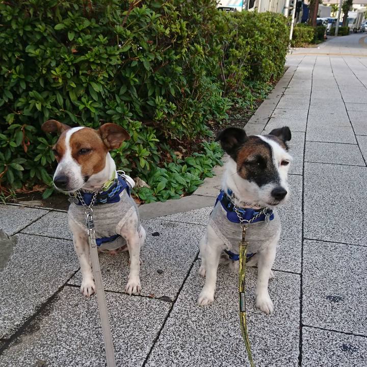 87d111ab e2d3 4811 b32a d08cb968bb3f 1570400455322