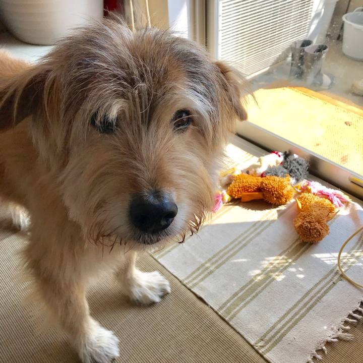 87d18d55 0c11 4035 833d e4cc73b45bae 1613206106121