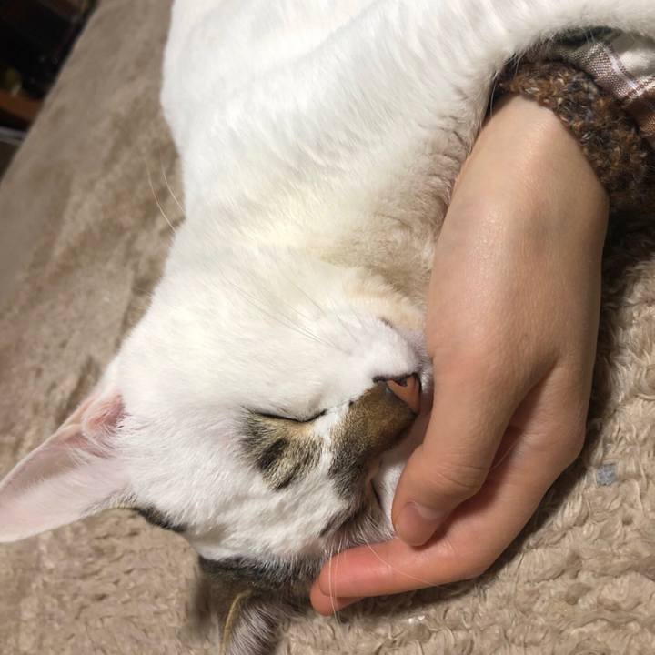 87d1b1d4 17f4 4d14 a835 37ba023d286a 1550157248791