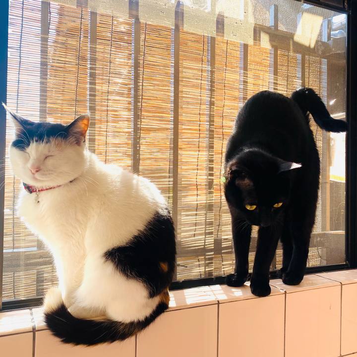 87d1b962 3fdf 41b2 8072 b6b4e32da401 1652833504667