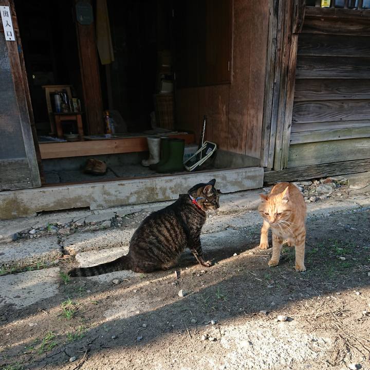 87d1c53a d0cd 4c36 b161 0183a3cc7ca4 1659167874188