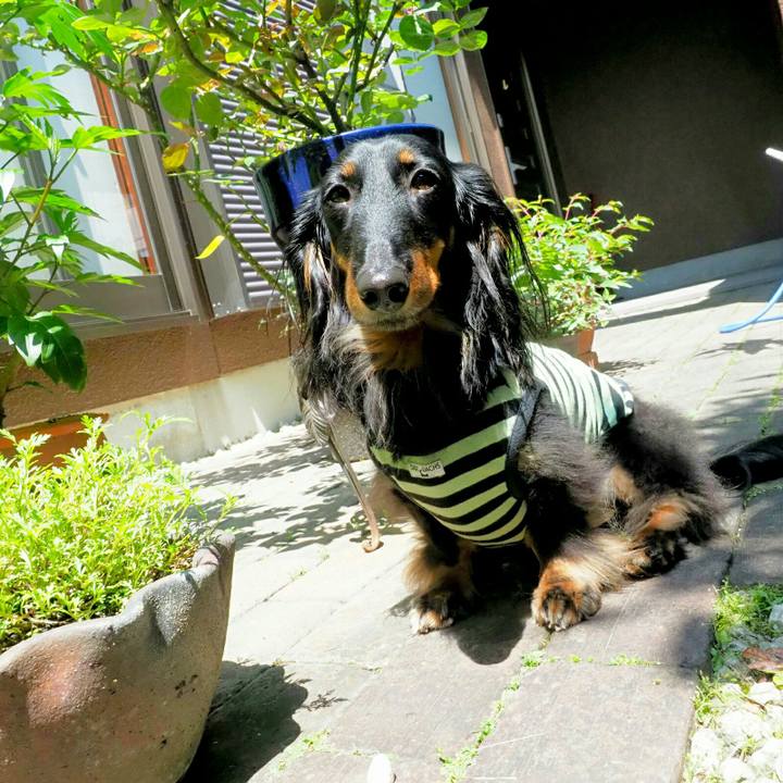 87d1d9de a810 48d5 b940 57226a93a6b6 1528519968252