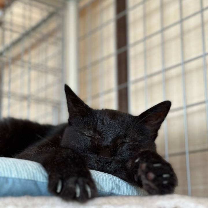 87d1ec51 47af 47c4 b659 0701f5b410c2 1693963156161