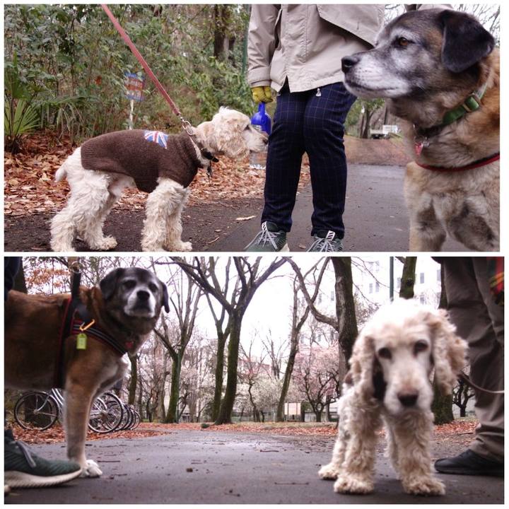 87d22aba 0af2 4158 a13f cb03a4af5bfb 1630232764857