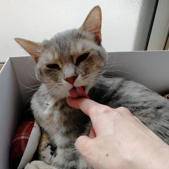 87d23fe3 4db3 46d9 8532 5206df5f46fb 1528970981988