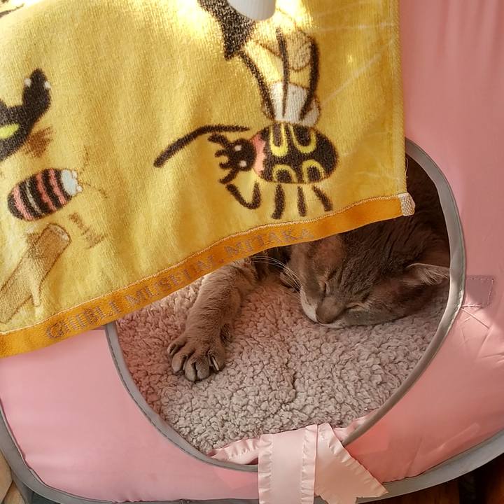 87d250ef 86cb 4f84 9be5 6f8cb238216d 1613958206456