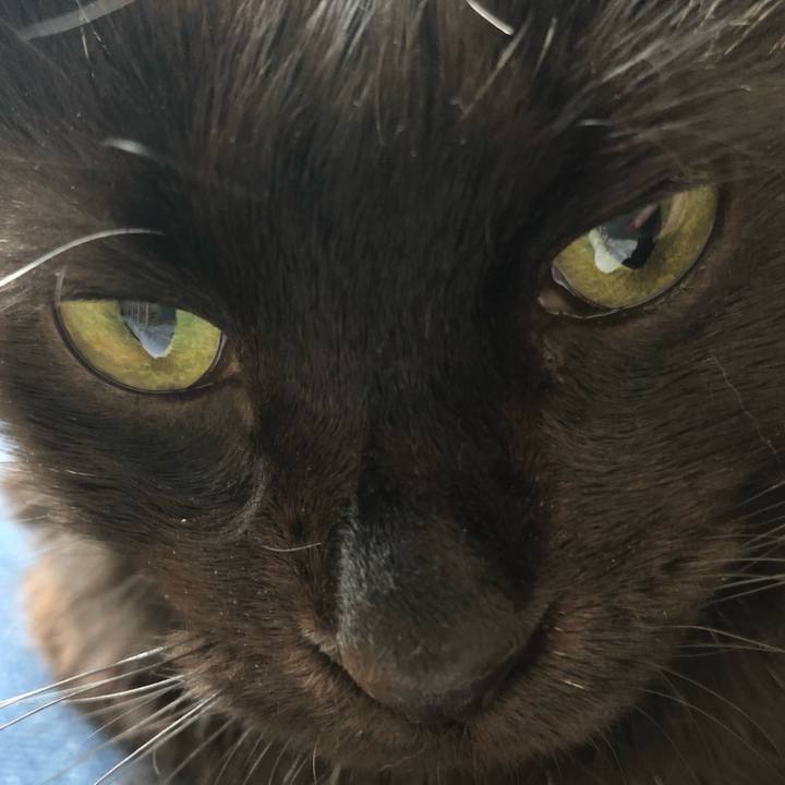 87d25f93 42ae 45f9 9ea5 503272e3a25f 1575697913681