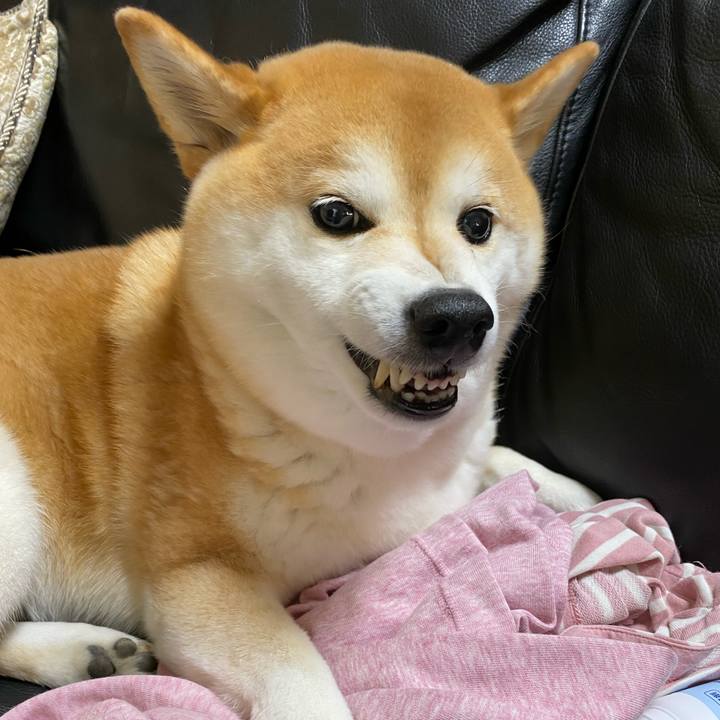 87d28d61 1495 4692 9522 499d9c7b2b80 1636633200162