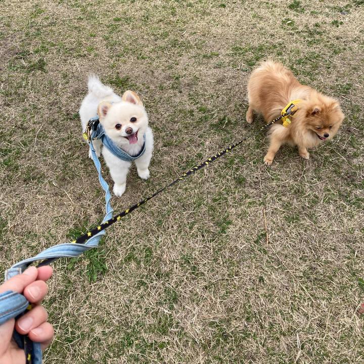 87d29e31 1c07 4f38 80c5 72c259a77a47 1648698737989