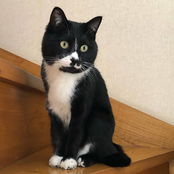 87d2f45b 10fc 45ae 94e2 6eeac2a36255 1615262869930