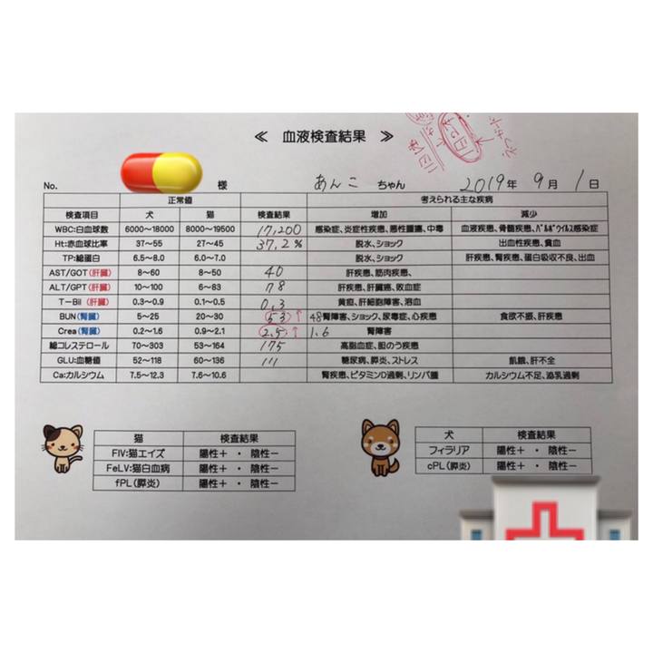 87d30898 734a 40a8 a9f9 371ebee81f35 1567306201546