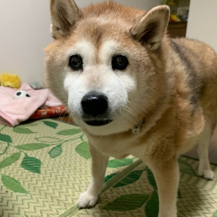 87d30c50 4c00 4378 8123 b7313a046dbe 1625575757998