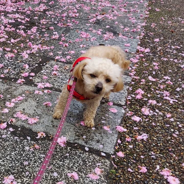 87d318dc 0ade 44b2 a993 536bfa7942a7 1713658160122